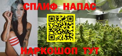 дмт Краснодар