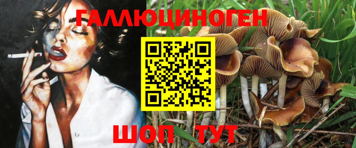 Псилоцибиновые грибы мицелий  Вход с VPN  Каменка 
